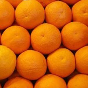 group of oranges