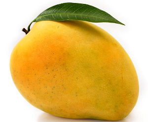 picture of a mango