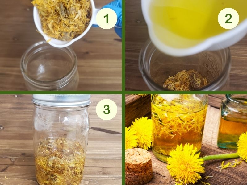 making calendula infused olive oil steps